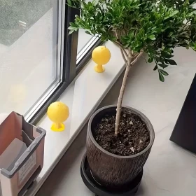 كرة صيد ذباب الفاكهة – مصيدة فعالة وآمنة للذباب